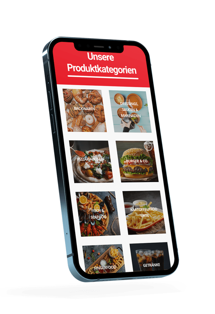 onlineshop erstellen lassen